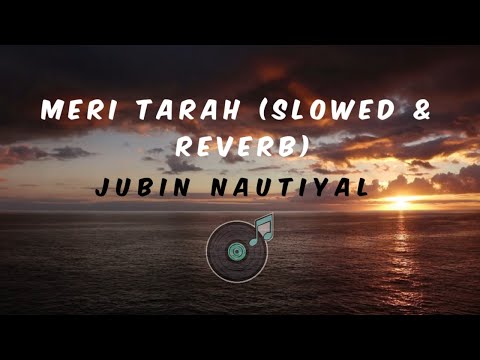 Meri Tarah Song - Slowed & Reverb | Jubin Nautiyal | Lofi Dope Music | Lyrics |