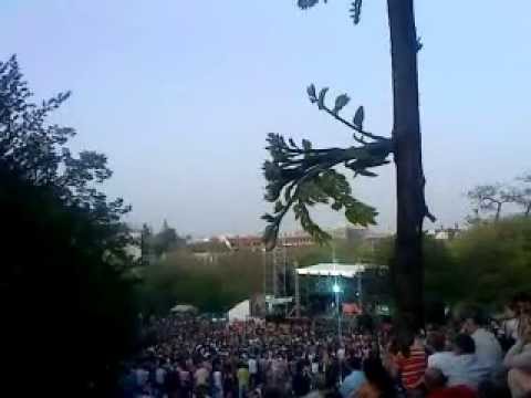 BIKINI - MIELŐTT ELMEGYEK - 2013 - TABÁN