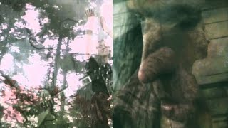 Video JE PODZIMNÍ RÁNO - LIDÉ NEDIVTE SE TOMU/revit 1978 - live  /3D.F