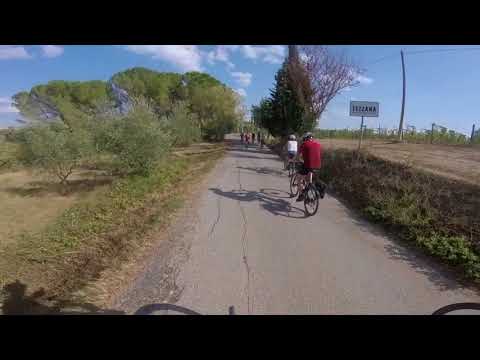 Montespertoli (Florence) E-Bike Tour