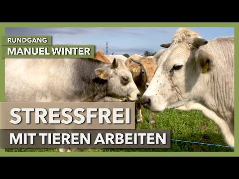 Über den stressfreien Umgang mit Rindern | Manuel Winter | Rundgang 5
