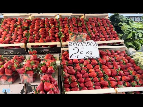 “Exploring #latvia : Jelgava’s Charm, Riga’s Beauty & the Vibrant Central Market! 🇱🇻✨”