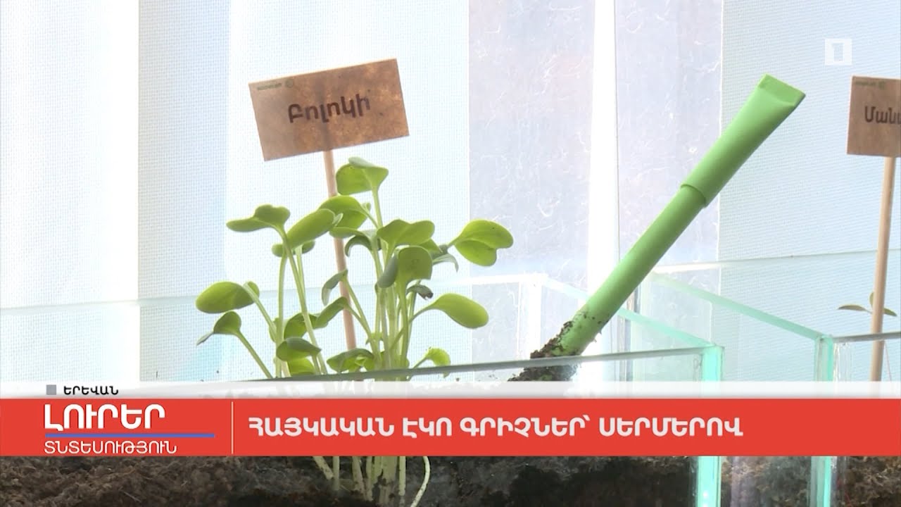 Հայկական էկո գրիչներ՝ սերմերով