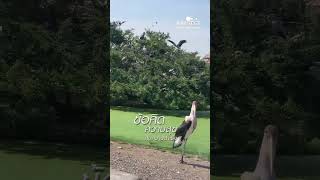 ข้อคิด สุข สำเร็จ