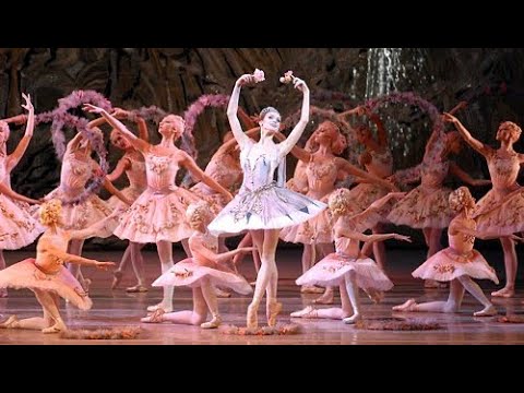 LE CORSAIRE - Le Jardin Animé (Mariinsky Ballet)