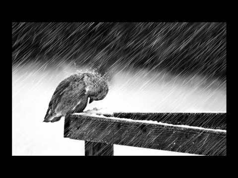 Big Dunn ft. Stalkera - Raining