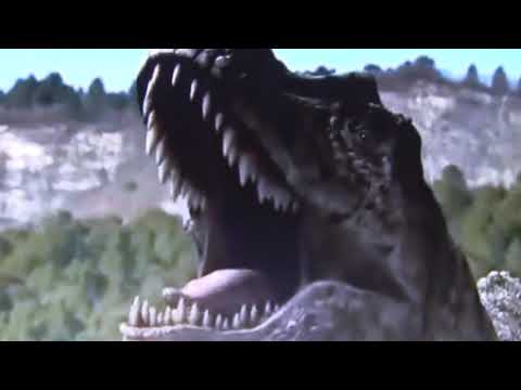 Zeitfenster der History