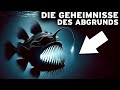 Im Herzen Des Abgrunds Entdecken Sie Die Seltsamsten Kreaturen Der Erde DOKU