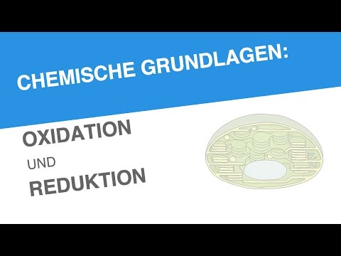 CHEMISCHE GRUNDLAGEN: OXIDATION UND REDUKTION | Biologie | Stoffwechselbiologie