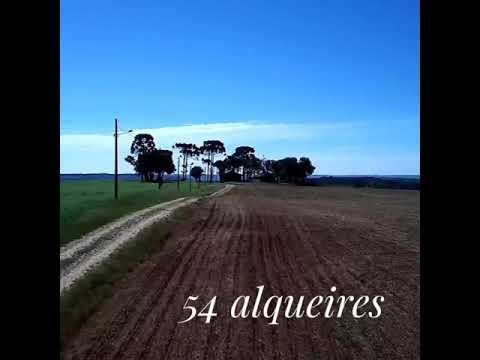 Fazenda 54 alqueires Lapa Pr