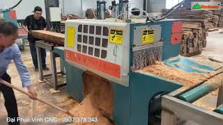 Máy xẻ gỗ tròn nhiều lưỡi WM-350LS , cưa rong đa lưỡi Woodmaster