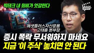 증시 폭락 무서워하지 마세요, 지금 '이 주식' 놓치면 안 된다 (고태훈 본부장)