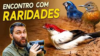 Miniatura do vídeo