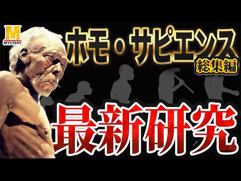 考古学的発見:これはネアンデルタール人の視界にあった