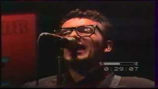 Elvis Costello Pump it up. Live Rockpalast 1983