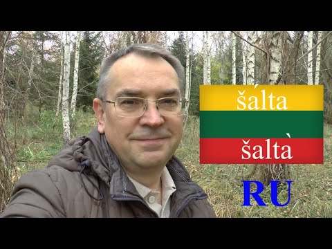 ЛИТОВСКИЙ ЯЗЫК - 45 - KIRČIAVIMAS. Šálta, šaltà. - УДАРЕНИЕ (1)