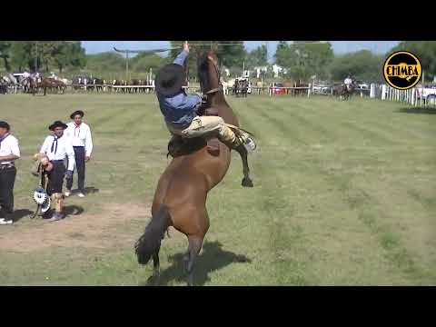 FESTIVAL DE JINETEADA EN LA SOCIEDAD RURAL DE BANDERA, SANTIAGO DEL ESTERO   12 04 26