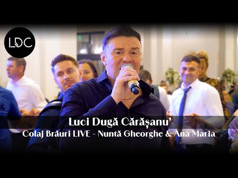 Luci Duga Carasanu - Colaj Brauri LIVE ⚪️ Nunta Gheorghe & Ana Maria