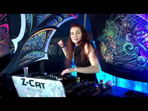 Z-Cat :  Best vibes from the Spaceship Emotions