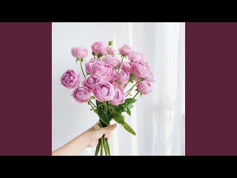 A Walk In The Clouds