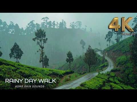 Rainy Day Bliss: Walking in a Misty Mountain Village | ASMR Rain Walks Compilation for Deep Sleep