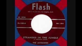 The Jayhawks - Stranded In The Jungle