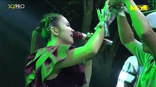 Download lagu mengejar badai || Anie anjanie ( MS MUSIC ) mp3