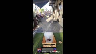Live streaming of Basin Seafood