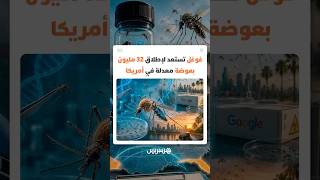 غوغل تخطط لإطلاق 32 مليون بعوضة مبرمجة ومعدلة بكتيريا بهدف القضاء على الأمراض التي تنقلها الحشرات thumbnail