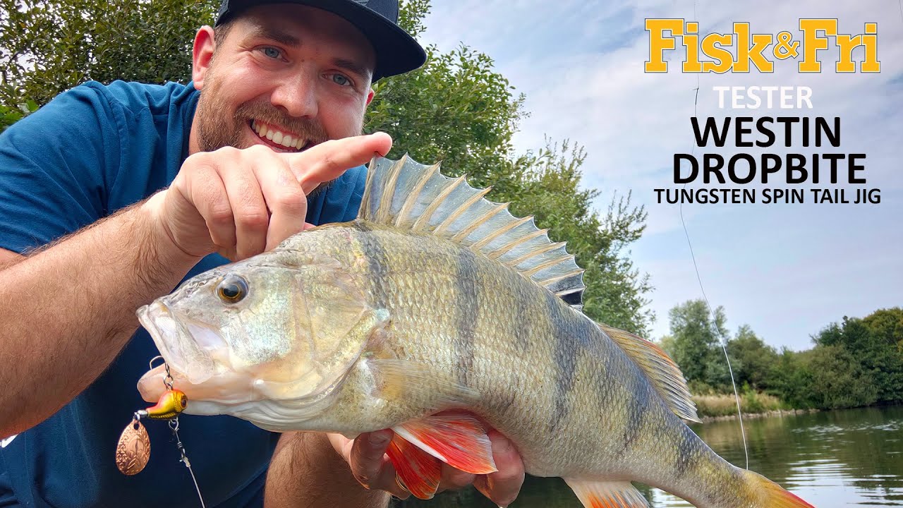 NY VIDEO: WESTIN DROPBITE TUNGSTEN SPIN TAIL JIG