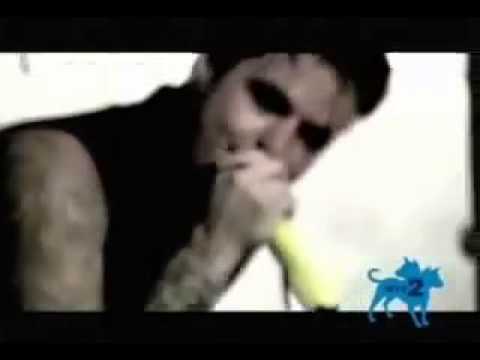 Bleed The Dream - Confessions