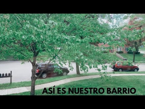Vivir en el centro vs. los suburbios estadounidenses: ¡La VERDAD que nadie te cuenta!
