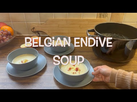 Belgian Endive Soup