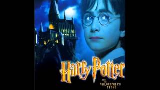 Harry Potter and the Philosopher's Stone - 11. The Quidditch Match