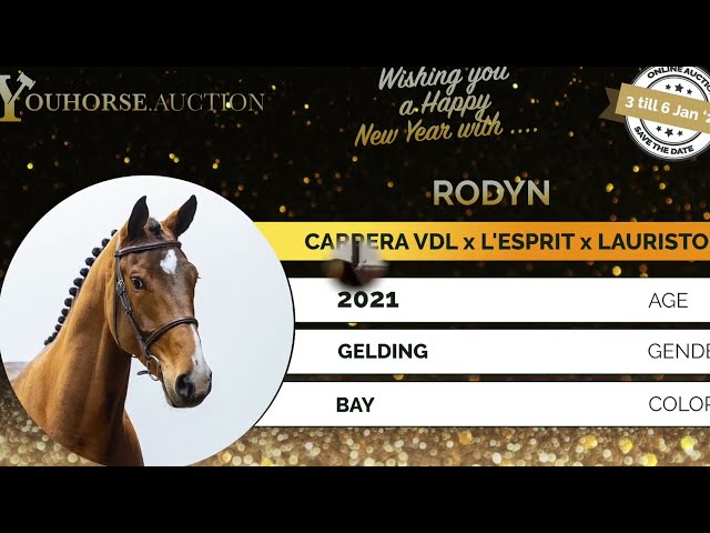 Rodyn homevideo