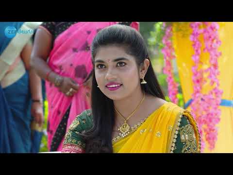 Rama Sakkani Seeta - రామ సక్కని సీత - Telugu Serial - EP - 370 - Nanda Kishore - Zee Telugu