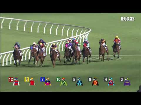 17/11/2021 (180) Compassion Spirit - Z Purton