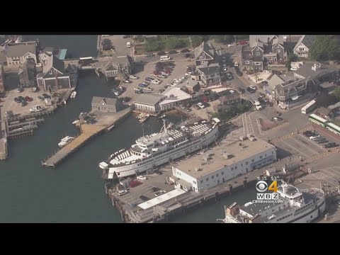 Steamship Authority Votes To Seek Independent Review