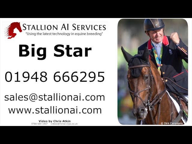 The half-brother of the mother of this frozen embryo is the Approved CSI 1.70m Olympic Winner Big Star with rider Nick Skelton.