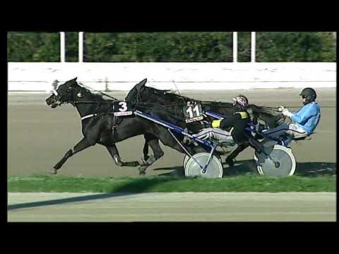 Trotto 11/12/2020 - 2ª corsa