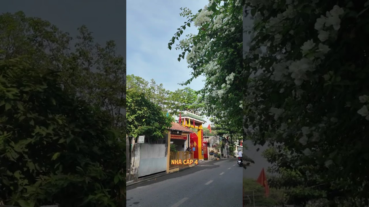 Ảnh đại diện Video