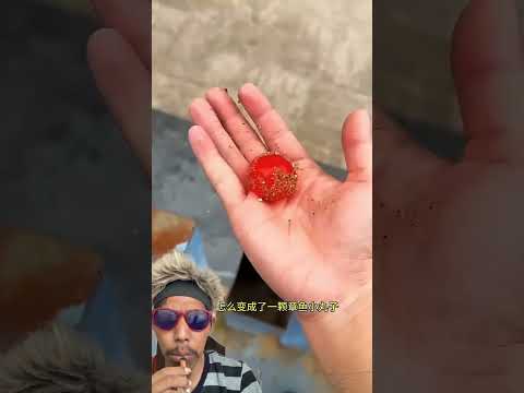 Guritanya jadi bolo#funny