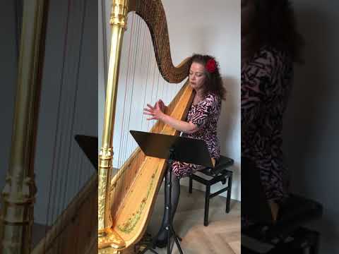 Rossini, Gioachino - sparkle of Kyrie from Petite Messe Solennelle