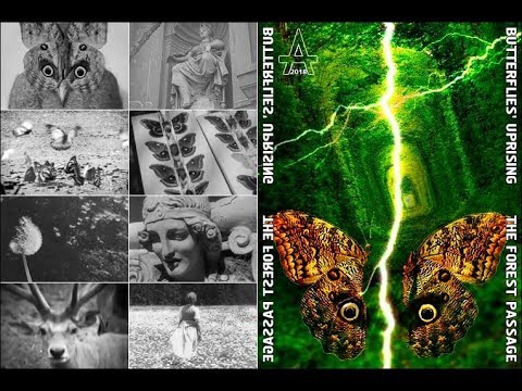 download lagu mp3 mp4 The Forest Passage, download lagu The Forest Passage gratis, unduh video klip The Forest Passage