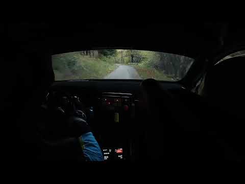 3° TRENTINO RALLY 2025  /  Sartori Y - Albertini A  /  PS9  RONZO CHIENIS