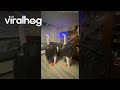 Clever Ostrich Costumes || ViralHog