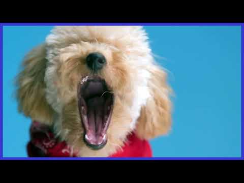 Uncover Hidden Cyber Talent | Kinetic Typography | Promotional | Immersive Labs