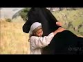 The Young Black Stallion 2003 Theatrical Trailer