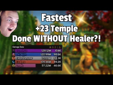 FASTEST +23 Temple made by 1 Tank 4 DPS?! - Protection Paladin PoV