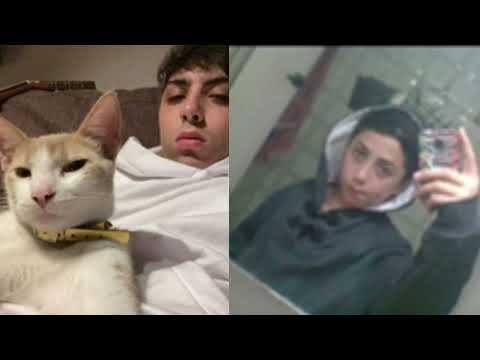 los malvekes// (sped up)